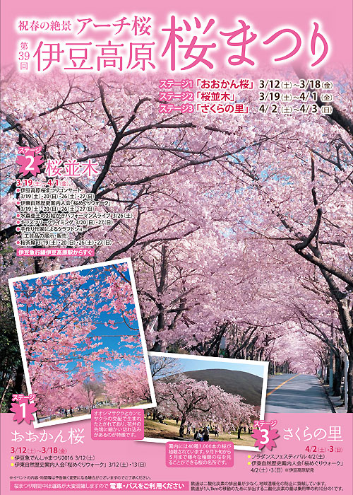 春を満喫!伊豆高原桜まつりのご案内